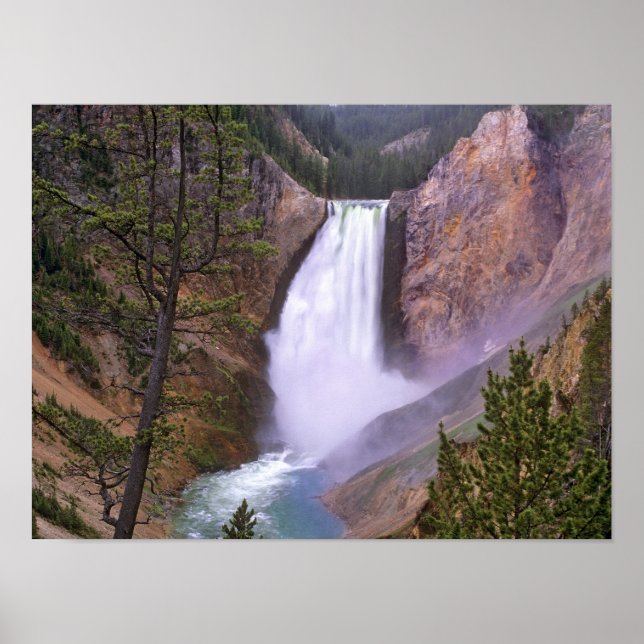 Lower Yellowstone Falls, Grand Canyon of Poster (Front)