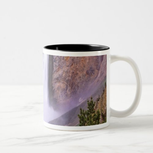 Lower Yellowstone Falls Grand Canyon of Two_Tone Coffee Mug