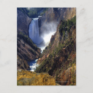 Lower Yellowstone Falls, Yellowstone National Postcard