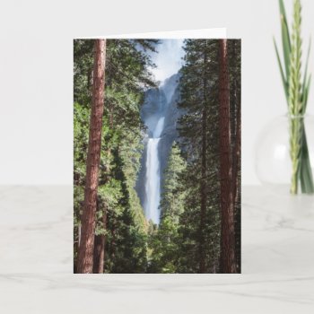 Lower Yosemite | Falls And Forest Card by intothewild at Zazzle