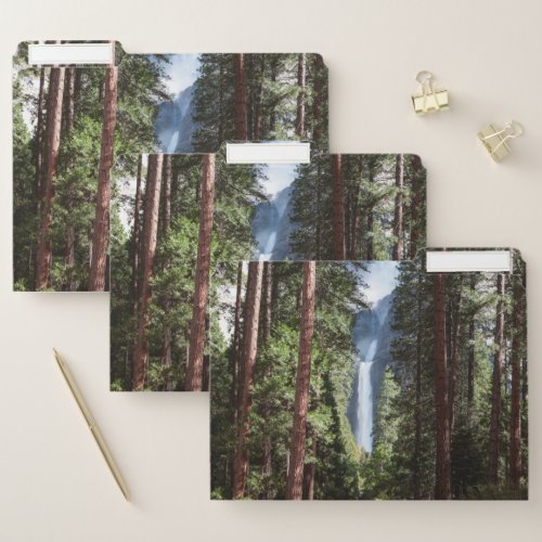 Lower Yosemite  Falls and Forest File Folder