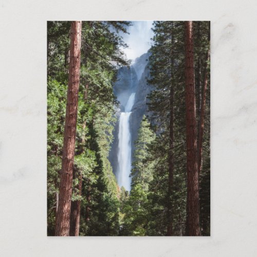 Lower Yosemite  Falls and Forest Postcard