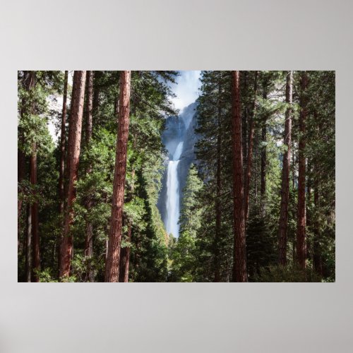 Lower Yosemite  Falls and Forest Poster