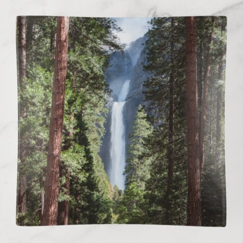 Lower Yosemite  Falls and Forest Trinket Tray