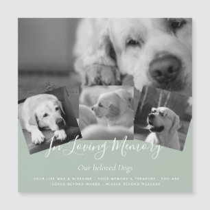 Lowest Prices! 35 PHOTOS Collage Custom Text sage