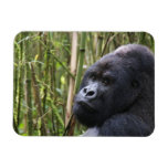 Lowland Gorilla Flexible Magnet