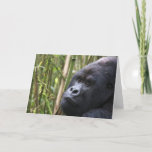 Lowland Gorilla Greeting Card