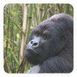 Lowland Gorilla Stickers