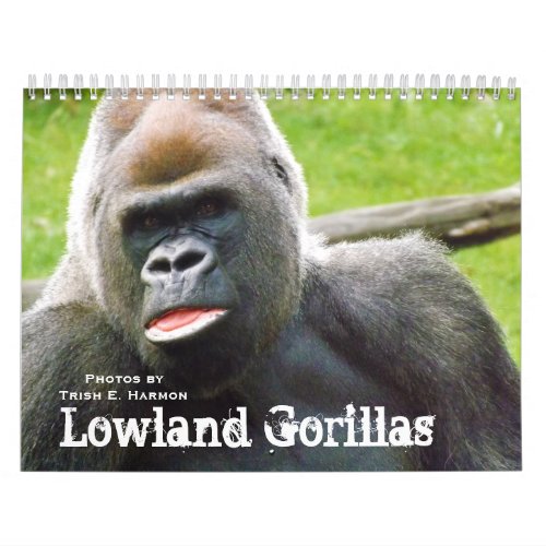 Lowland Gorillas of the Kansas City Zoo Calendar