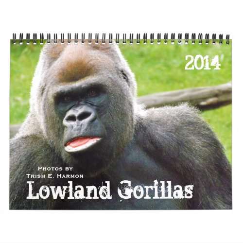 Lowland Gorillas of the Kansas City Zoo Calendar