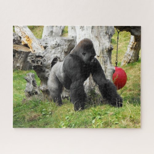 Lowland silverback gorilla jigsaw puzzle