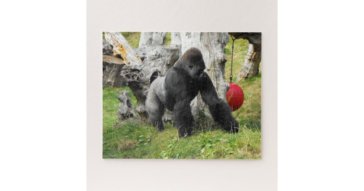 Gorilla Gift Box, Zazzle