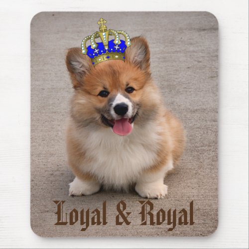 Loyal and Royal Corgi Puppy Photo Mouse Pad