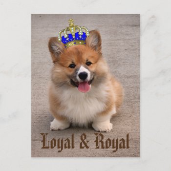 Loyal And Royal Corgi Puppy Postcard by DippyDoodle at Zazzle