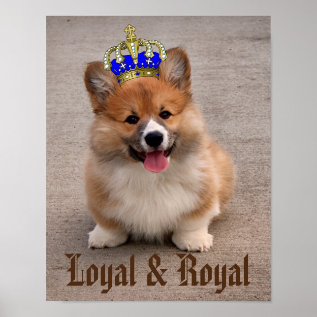 Loyal and Royal Corgi Puppy Poster (Front)