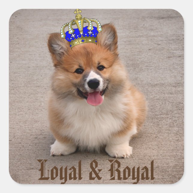 Loyal and Royal Corgi Puppy Square Sticker (Front)