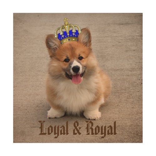 Loyal and Royal Corgi Puppy  Wood Wall Art