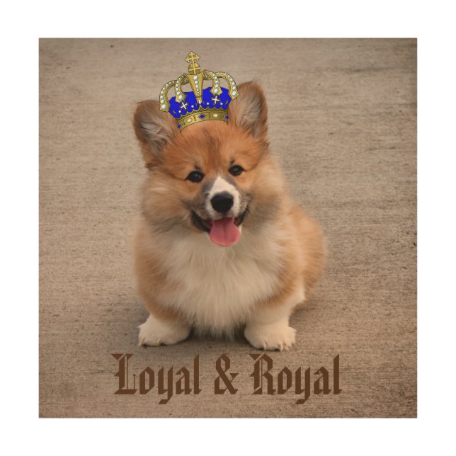 Loyal and Royal Corgi Puppy  Wood Wall Art (Front)