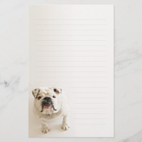 Loyal White Bulldog Lined Writing paper