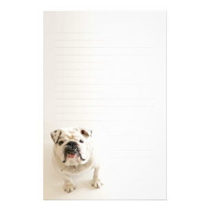Dog Writing Paper Gifts On Zazzle Loyal White Bulldog Lined Writing Paper