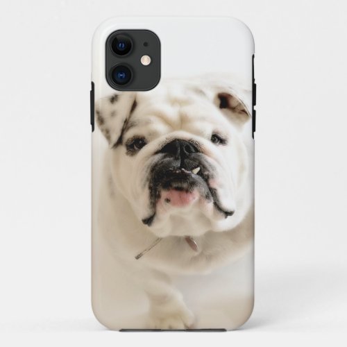 Loyal White Bulldog Photograph iPhone 11 Case