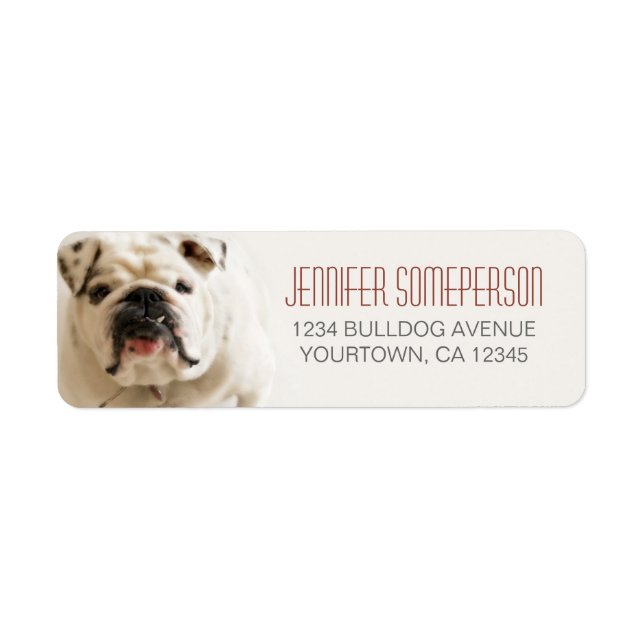 Loyal White Bulldog Return Address Labels (Front)