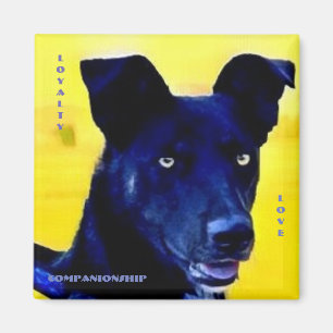 Loyalty Love Dog Face Magnet