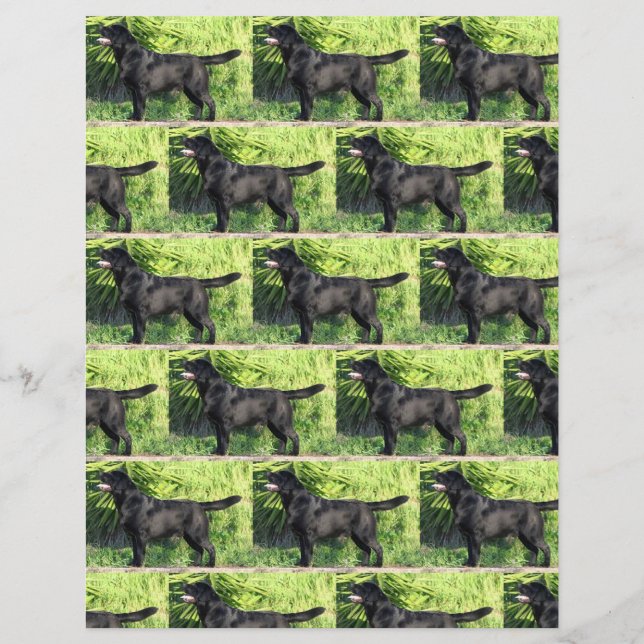 LR black lab full (Front)