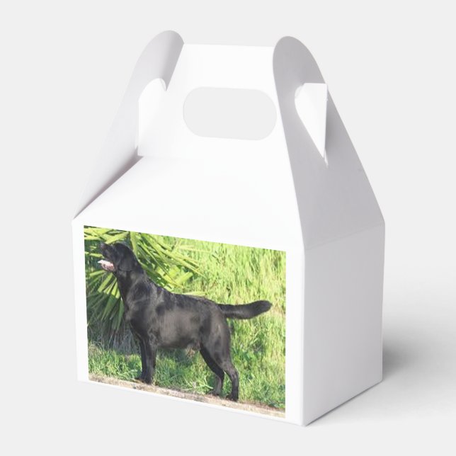 LR black lab full Favor Boxes (Front Side)
