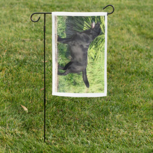LR black lab full Garden Flag