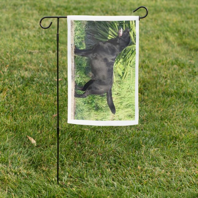 LR black lab full Garden Flag (In SItu)