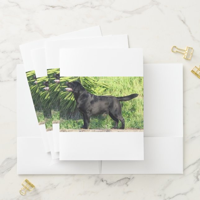 LR black lab full Pocket Folder (In Situ)