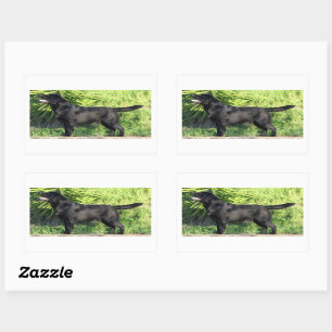 LR black lab full Rectangular Sticker
