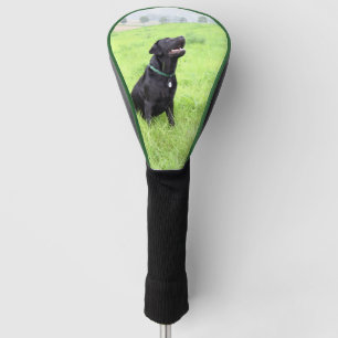 LR black lab sitting Golf Head Cover