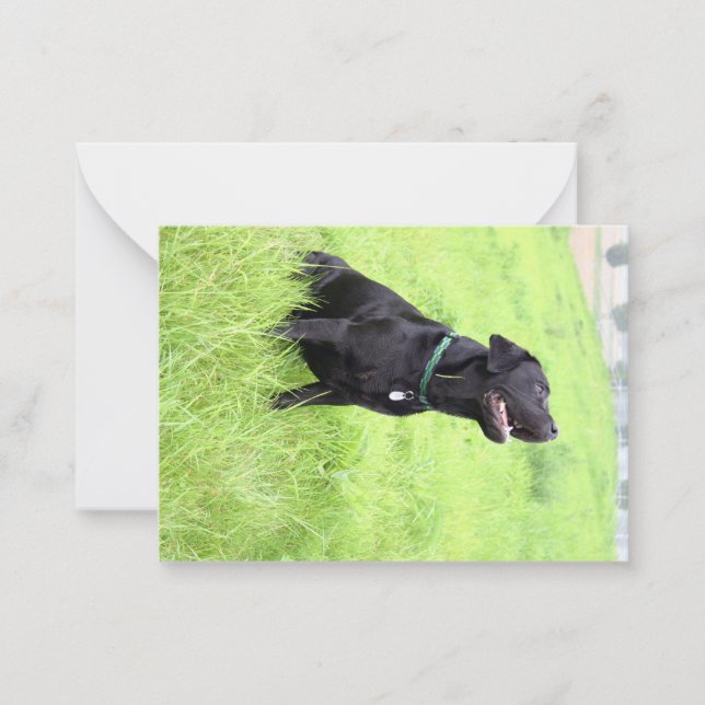 LR black lab sitting Note Card (Front)