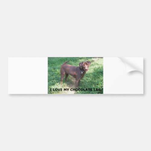 LR chocolate lab love with picture Bumper Sticker