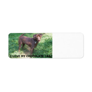 LR chocolate lab love with picture Label