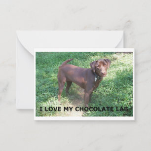 LR chocolate lab love with picture Note Card