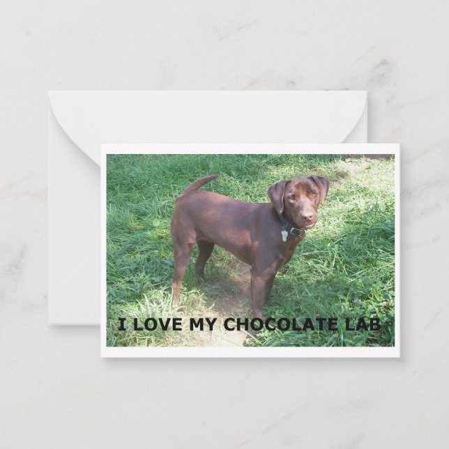 LR chocolate lab love with picture Note Card (Front)