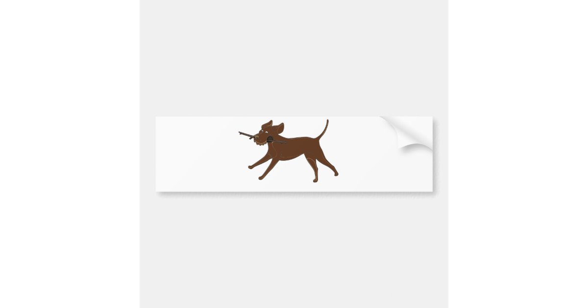 LR chocolate lab with stick Bumper Sticker | Zazzle