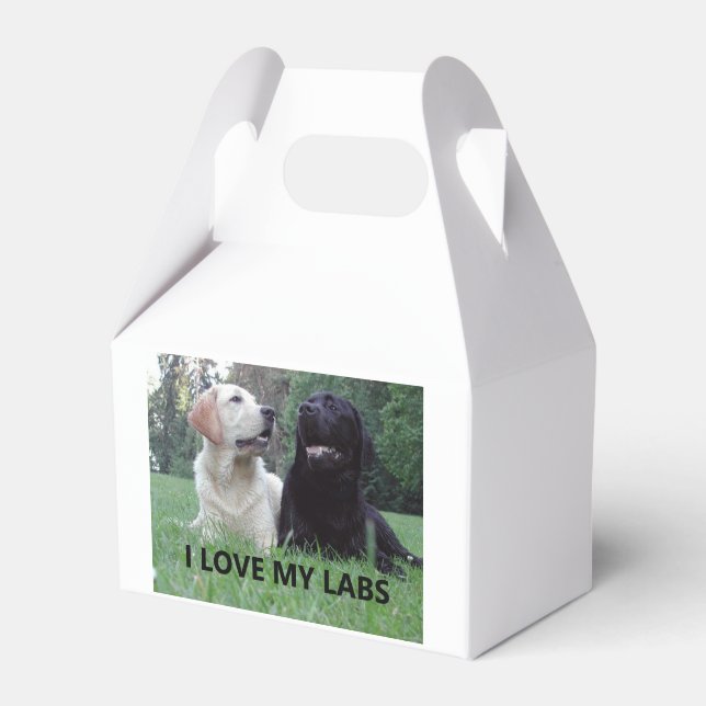 LR I Love My Labs with Picture Favor Boxes (Front Side)