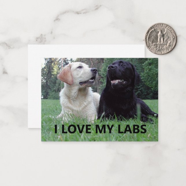 LR I Love My Labs with picture Note Card (Front/Back In Situ)