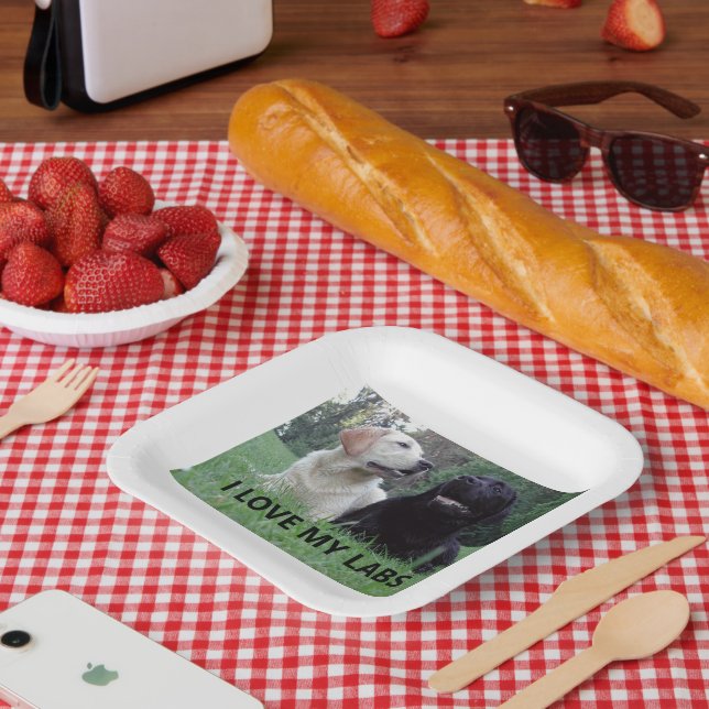 LR I Love My Labs with picture Paper Plates (Picnic)