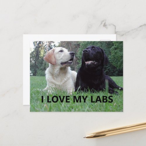 LR I Love My Labs with picture Postcard