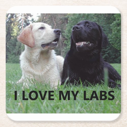 LR I Love My Labs with picture Square Paper Coaster