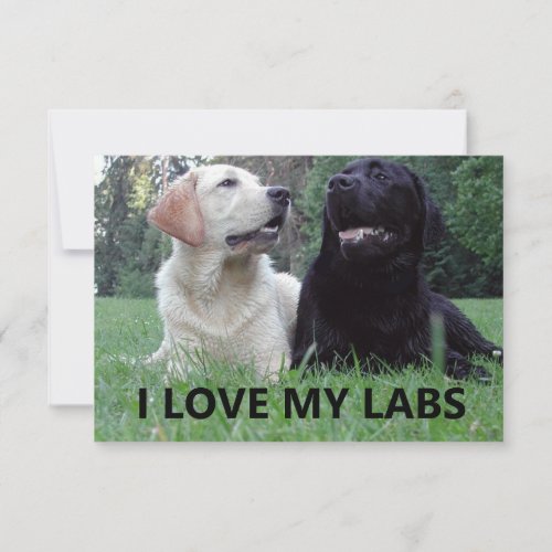 LR I Love My Labs with picture Thank You Card