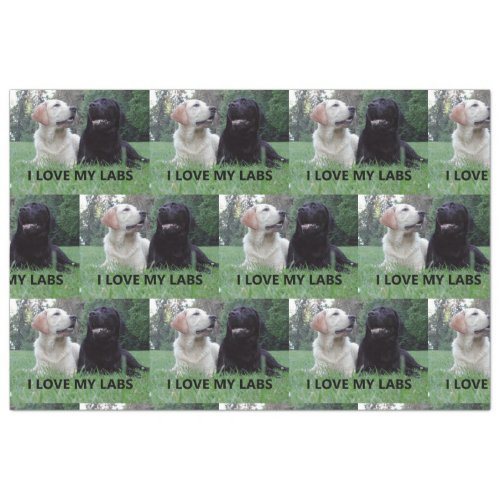 LR I Love My Labs with picture Tissue Paper