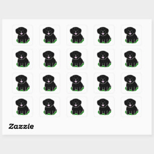LR kawaii black lab cartoon Square Sticker