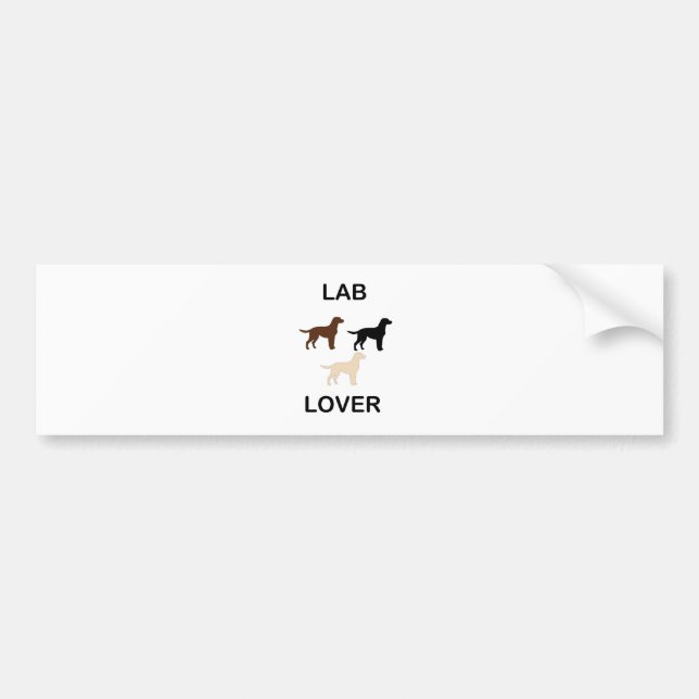 LR lover all colors silhouettes Bumper Sticker (Front)