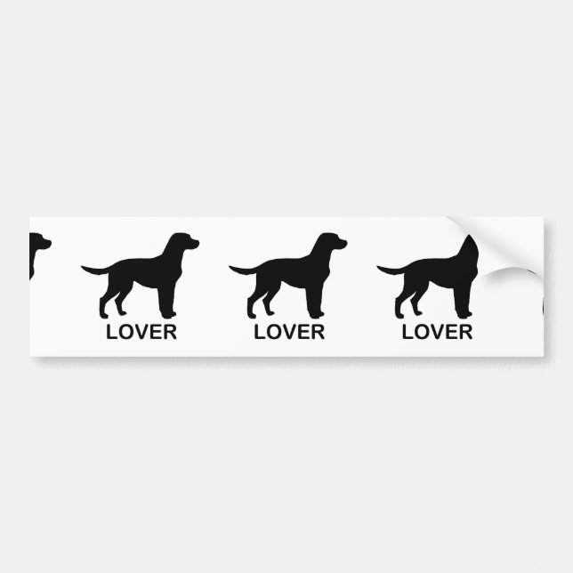 LR lover Bumper Sticker (Front)